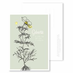 Kaartje &quot;Geboorte&quot;