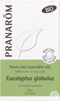 Parels met essentiële olie van eucalyptus globulus 
