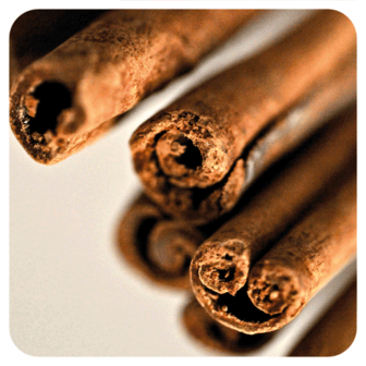 Kaneelschors hydrolaat bio - Cinnamomum verum