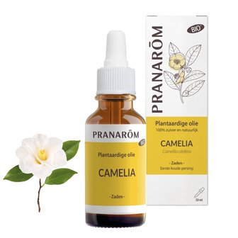 Camelia - camellia oleifera - BIO - 30 ml 