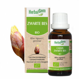 Zwarte bes - Herbalgem - 50 ml  - houdbaar tot 12/22