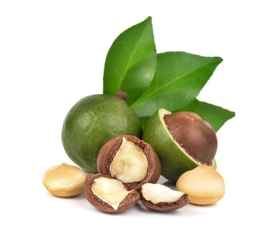 Macadamia olie - Macadamia integrifolia - BIO