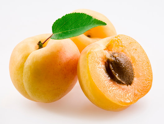 Abrikozenpitolie - Prunus armeciaca - BIO
