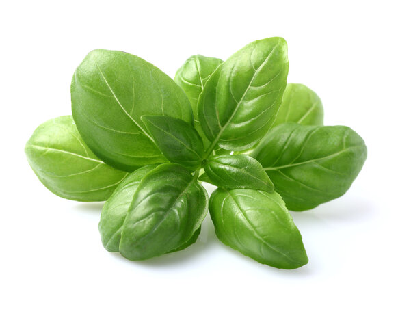 Basilicum hydrolaat bio - Ocimum basilicum CT linalol - OP BESTELLING 