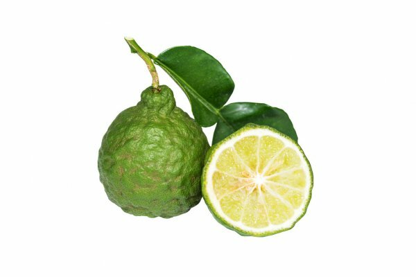 Bergamot - Citrus Bergamia BIO - 10 ml