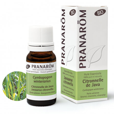 Citronella Javaanse - Cymbopogon winterianus BIO - 10 ml