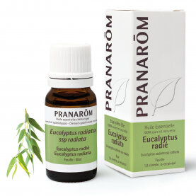 Eucalyptus Radiata - Eucalyptus radiata - 10 ml - 09/25 - PROMO