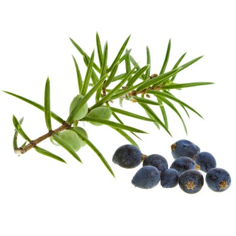 Jeneverbes - Juniperus communis - 5 ml 