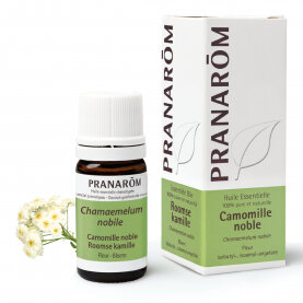 Roomse kamille - Chamaemelum nobile - 5 ml - bio 