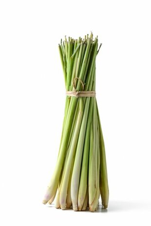 Lemongrass - Cymbopogon citratus - 10 ml