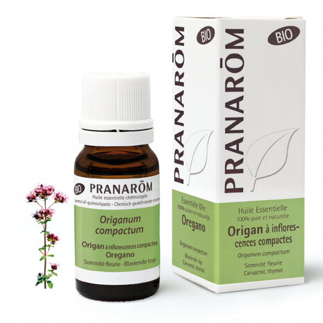 Oregano - Origanum compactum BIO - 10 ml (t.h.h.t 10/25)