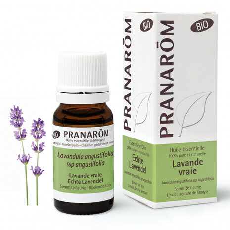 Echte lavendel bio - 10 ml - Pranarom 