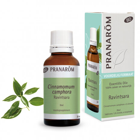 Ravintsara - Cinnamomum camphora - 10 ml -  - BIO - Pranarom 