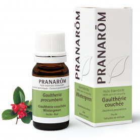 Wintergreen - Gaultheria procumbens - 10 ml 