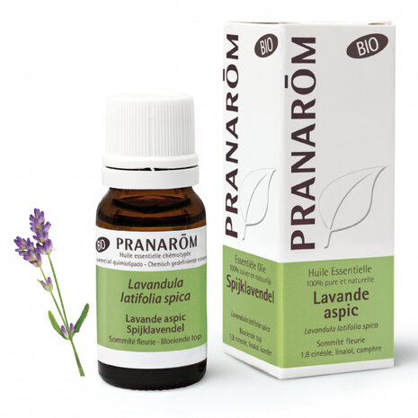 Spijklavendel bio - 10 ml - Pranarom