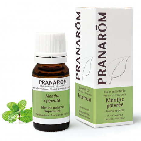 Munt (pepermunt)- Mentha x piperita - 10 ml