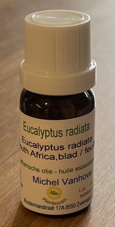 Eucalyptus Radiata - Eucalyptus radiata - 11 ml