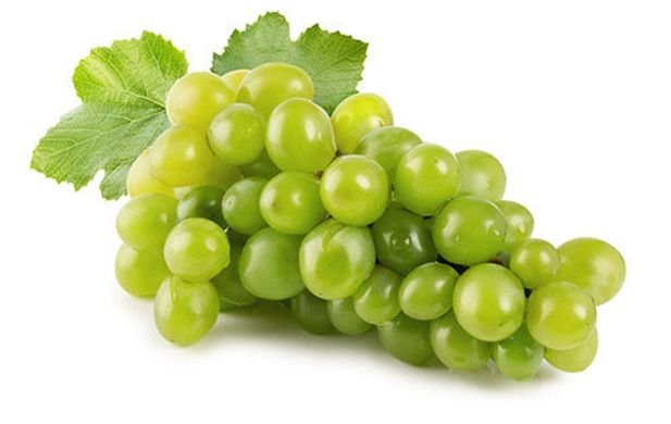 Druivenpitolie - Vitis vinifera