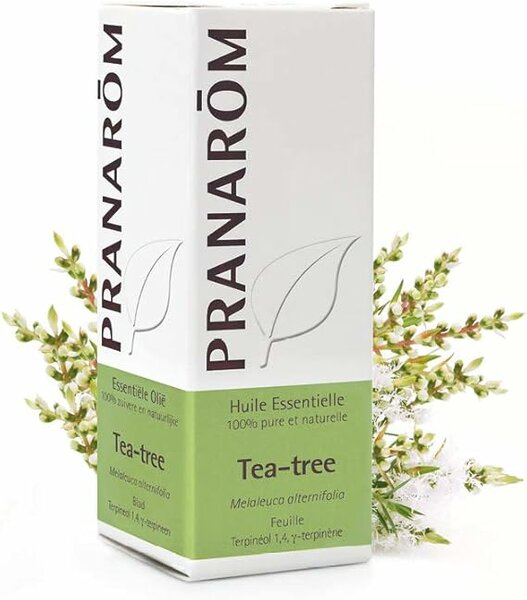 Tea-tree- Melaleuca alternifolia - 10 ml 