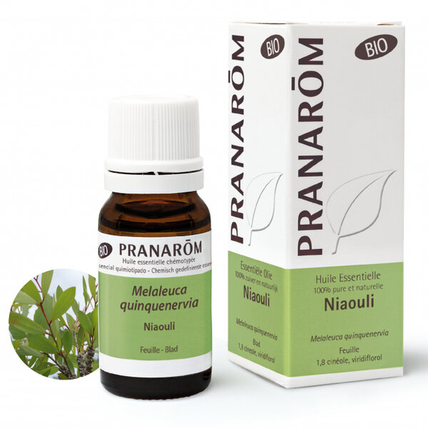 Niaouli - Melaleuca quinquenervia - BIO - 10 ml 