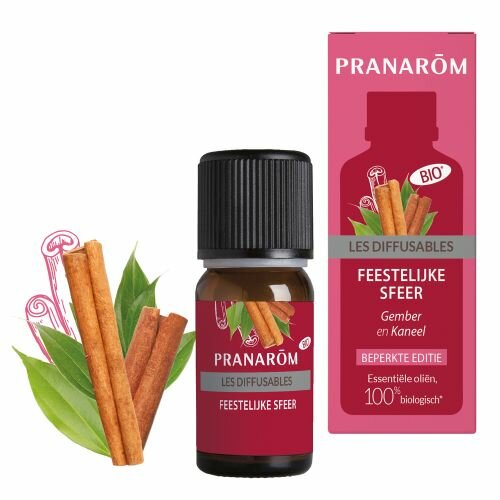 Les Diffusables - Feestelijke sfeer  - 30ml