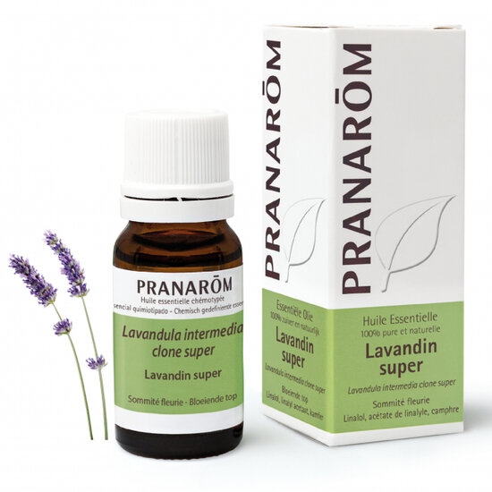 Lavendel super - Lavandula intermedia- 10 ml - bio 