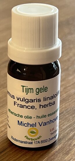 Tijm, gele- Thymus vulgaris linaloliferum - 11 ml - MVH