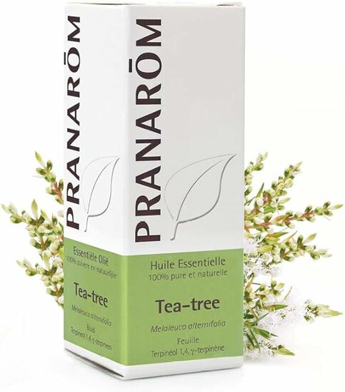 Tea-tree- Melaleuca alternifolia - 10 ml 