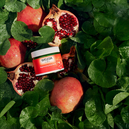 Verstevigende nachtcr&egrave;me - Granaatappel &amp; Maca - Weleda - 40 ml