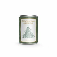 Kweek je eigen kerstboom